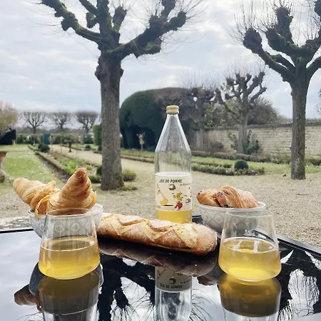 Le Jardin De L'hippodrome Chantilly